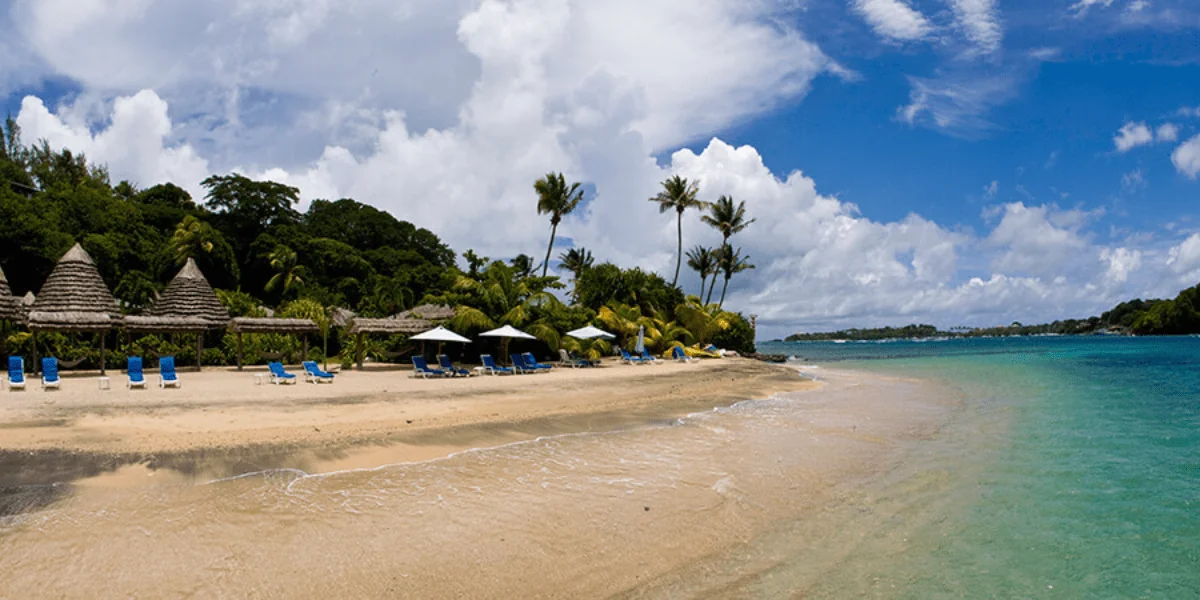 Grenadines 2-min.webp